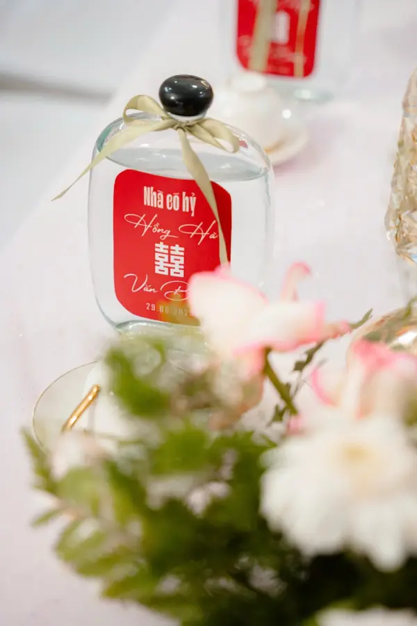 GIA TIÊN TONE Hồng Patel mix Đỏ - Hình ảnh 6